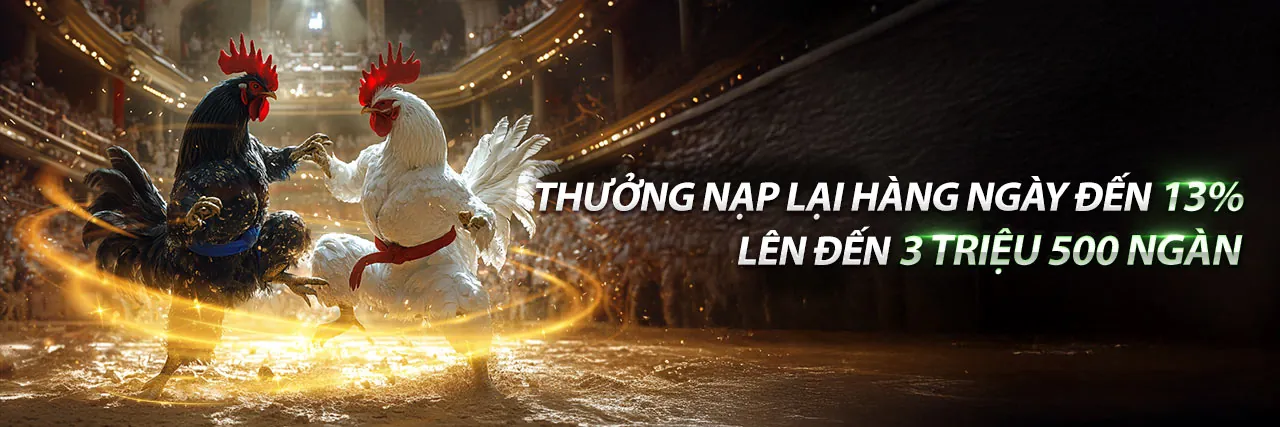 Sân vận động bóng đá với người hâm mộ và hình ảnh cá cược thể thao mcw19