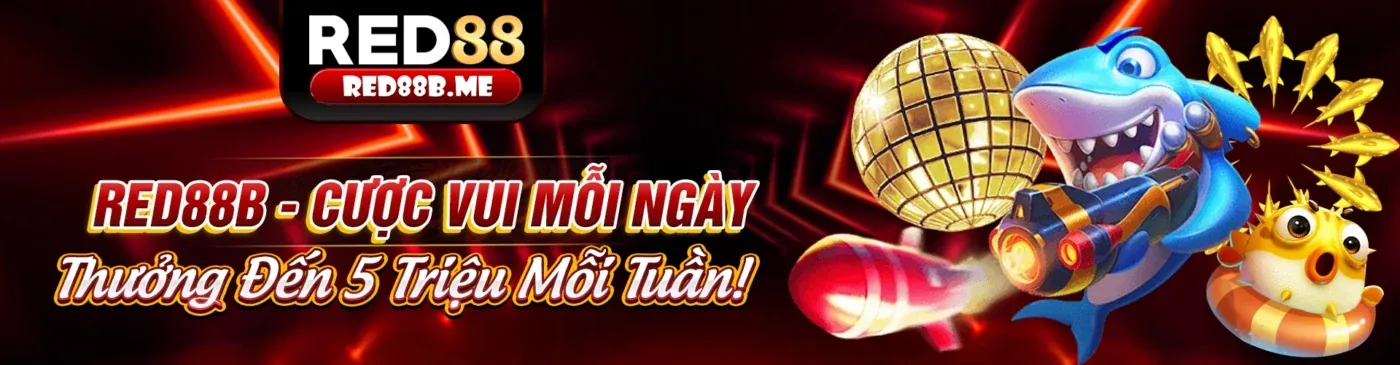 Chính sách chơi có trách nhiệm của mcw19